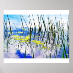 Affiche Blues et Grass