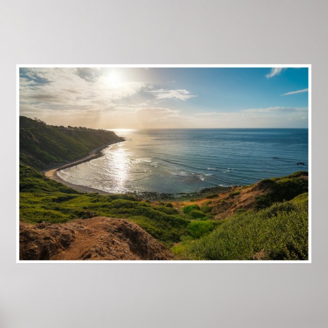 Affiche Bluff Cove Light (Devant)