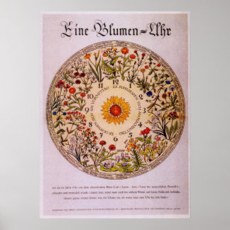 Affiche Blumenuhr Horloge à fleurs Poster2