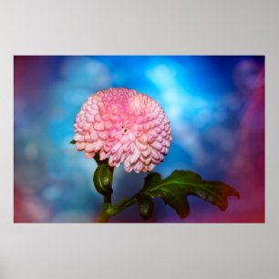 Affiche Blütenzauber