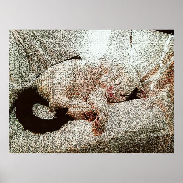 Affiche Bob Classique (Devant)