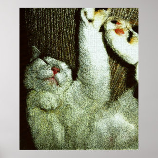 Affiche Bob faisant une sieste