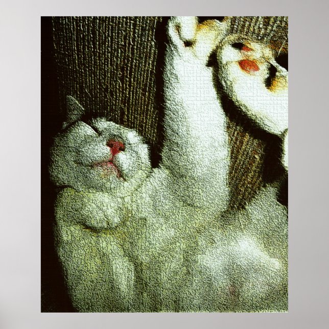 Affiche Bob faisant une sieste (Devant)