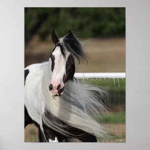 Affiche Bob Langrish Capture d'écran de la bannière tzig