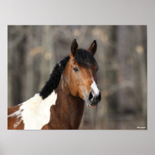 Affiche Bob Langrish   Capture d'écran du Cheval de peint