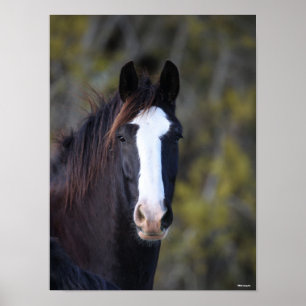 Affiche Bob Langrish   Capture d'écran du cheval de Shire