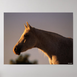 Affiche Bob Langrish   Casque rétroéclairé en arabe gris