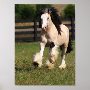 Affiche Bob Langrish Champagne Couleur Gypsy Vanner Runnin