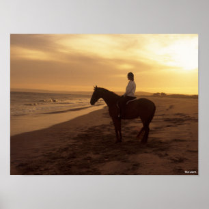Affiche Bob Langrish   Cheval et Rider sur la plage au cou