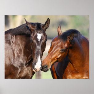 Affiche Bob Langrish Deux Rencontres canadiennes de chev