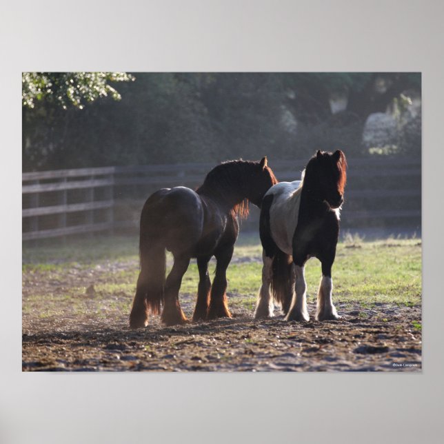 Affiche Bob Langrish | Deux Vannières Tsiganes En Champ Ré (Devant)