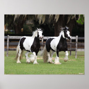 Affiche Bob Langrish   Deux vannières tziganes noires et 