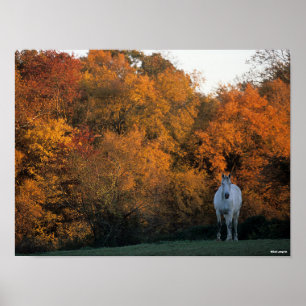 Affiche Bob Langrish Gray Warmblood Horloge debout Automne