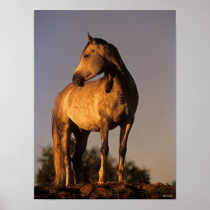 Affiche Bob Langrish   Les Arabes debout Sur La Colline Au