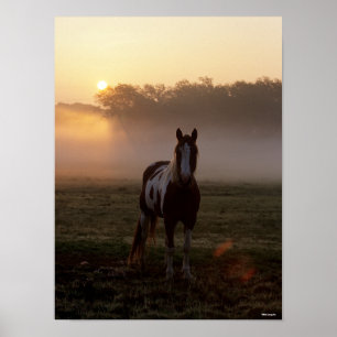 Affiche Bob Langrish   Paint Horse Debout Mist Sunrise