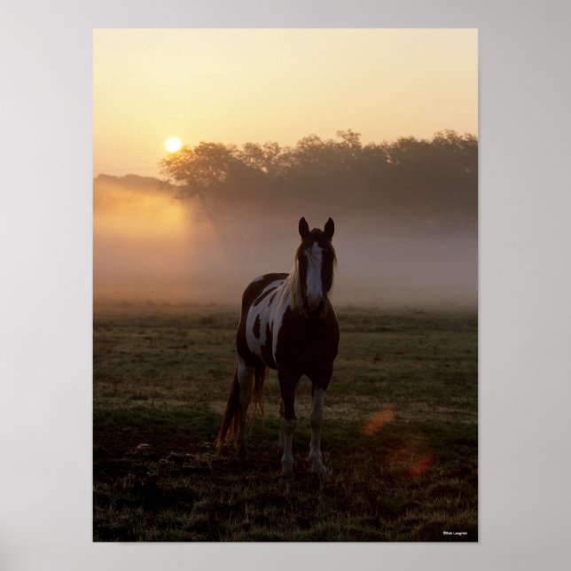 Affiche Bob Langrish | Paint Horse Debout Mist Sunrise (Devant)