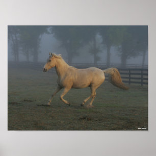 Affiche Bob Langrish   Palomino Tennessee Walker dans Mist