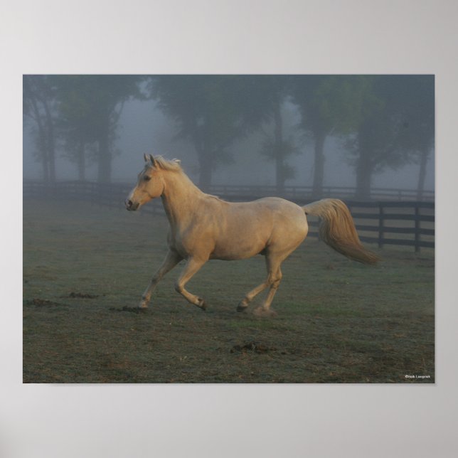 Affiche Bob Langrish | Palomino Tennessee Walker dans Mist (Devant)