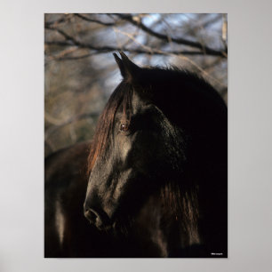 Affiche Bob Langrish   Tennessee Walker noir