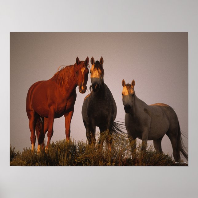 Affiche Bob Langrish | Trois Arabes debout au coucher du s (Devant)