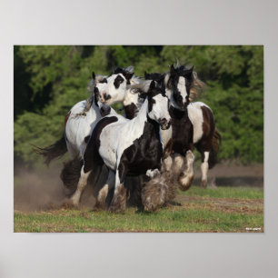 Affiche Bob Langrish   Troupeau De Chevaux De Vannières T