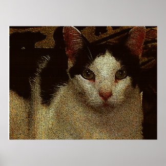 Affiche Bob le Sérieux