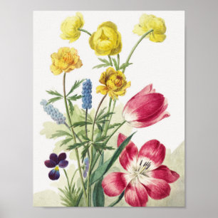 Affiche Boeket van tulpen, viooltjes, blauwe druifjes