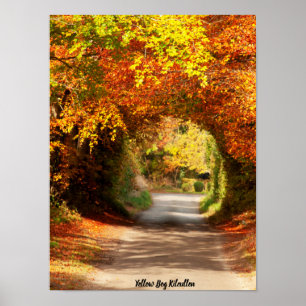 Affiche Bog jaune Kilcullen