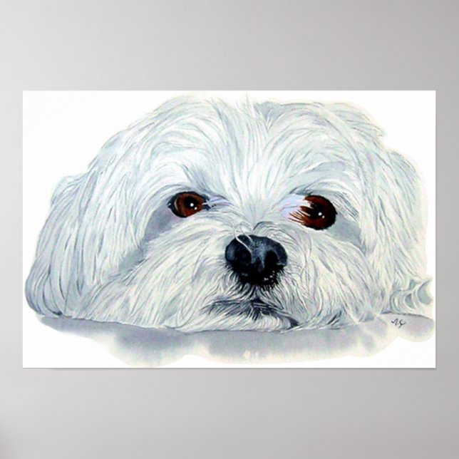 Affiche Bogart the Maltese Canvas Print (Devant)