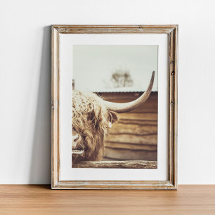 Affiche Boho Highland Cow Wall Art