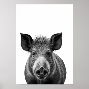 Affiche Boire Cochon Woodland Moderne Portrait noir blanc