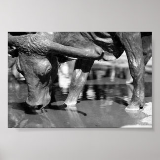 Affiche Boire Longhorn