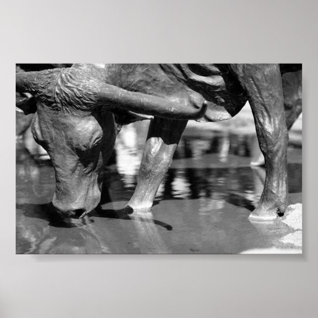 Affiche Boire Longhorn (Devant)