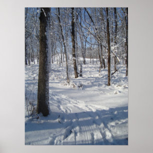 Affiche Bois à neige