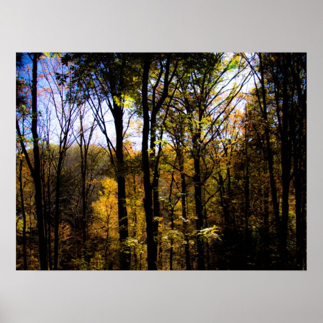 Affiche Bois d'automne (Devant)