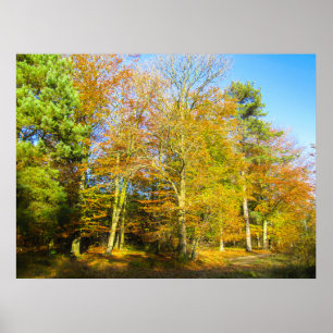Affiche Bois d'Automne & Soleil - Personnalisé