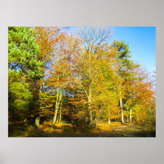 Affiche Bois d'Automne & Soleil - Personnalisé (Devant)