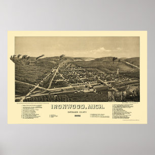 Affiche Bois de fer, MI Carte panoramique - 1886