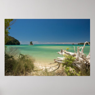 Affiche Bois de flottage