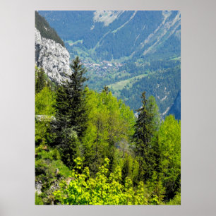 Affiche Bois de montagne dans les alpes suisses