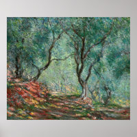 Bois d'olivier dans les jardins de Moreno (par Mon