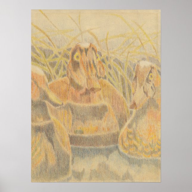 Affiche Bois Duck Decoys sur l'étang (Devant)