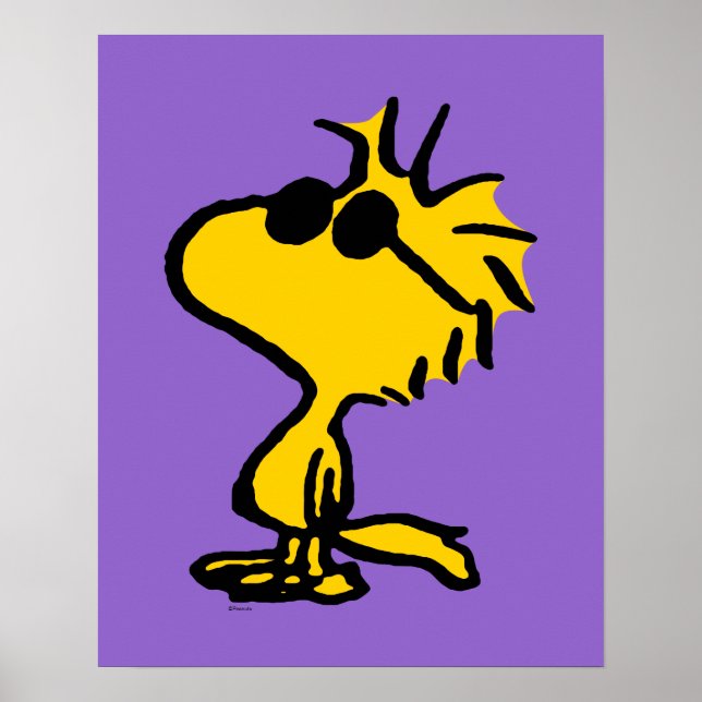 Affiche Bois En Lunettes De Soleil (Devant)