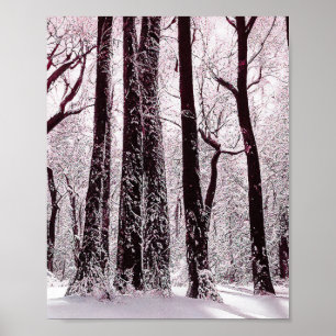 AFFICHE BOIS FORESTIER NEIGE HIVER SCÉNARIO