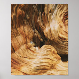 Affiche bois texture motif nature ancienne