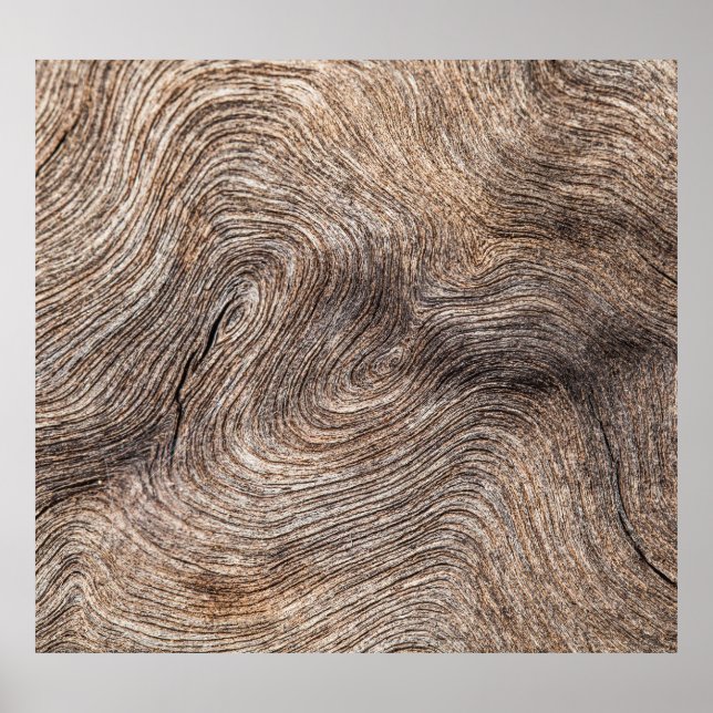 Affiche Bois vieux rustique, arrière - plan texturé (Devant)