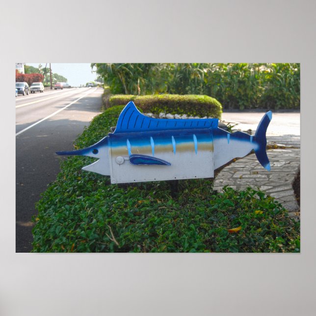 Affiche Boîte aux lettres Swordfish sur l'île d'Hawaï (Devant)