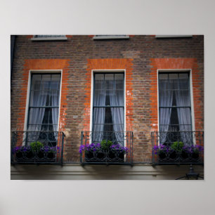 Affiche Boîtes à fleurs typiques du printemps londonien
