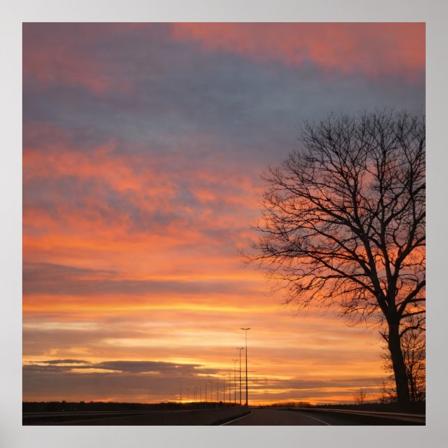 Affiche Bolso (Devant)