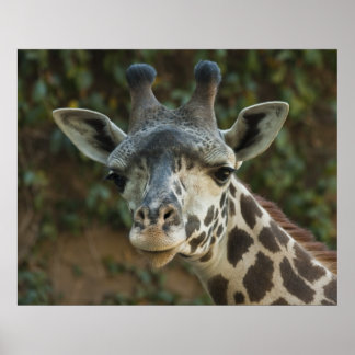 Affiche Bon Ami du matin